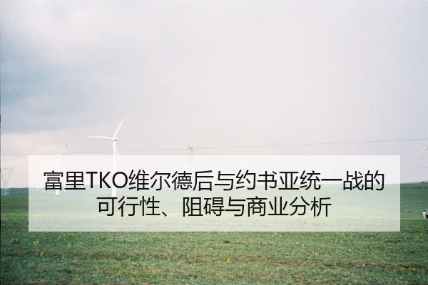 fu-li-wei-er-de-hou-yu-yue-shu-ya-tong-yi-zhan-de-ke-xing-xing-zu-ai-yu-shang-ye-fen-xi-2-998.jpg