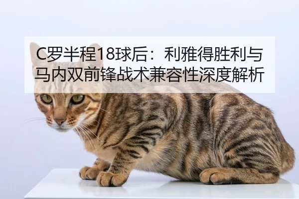 luo-ban-cheng-qiu-hou-li-ya-de-sheng-li-yu-ma-nei-shuang-qian-feng-zhan-shu-jian-rong-xing-shen-du-jie-xi-2-501.jpg