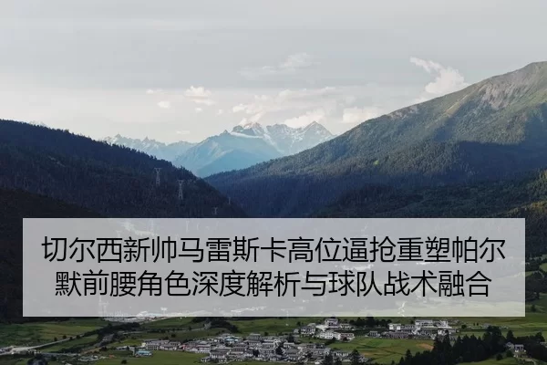 切尔西新帅马雷斯卡高位逼抢重塑帕尔默前腰角色深度解析与球队战术融合