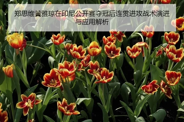 zheng-si-wei-huang-ya-qiong-zai-yin-ni-gong-kai-sai-duo-guan-hou-lian-guan-jin-gong-zhan-shu-yan-jin-yu-ying-yong-jie-xi-2-610.jpg