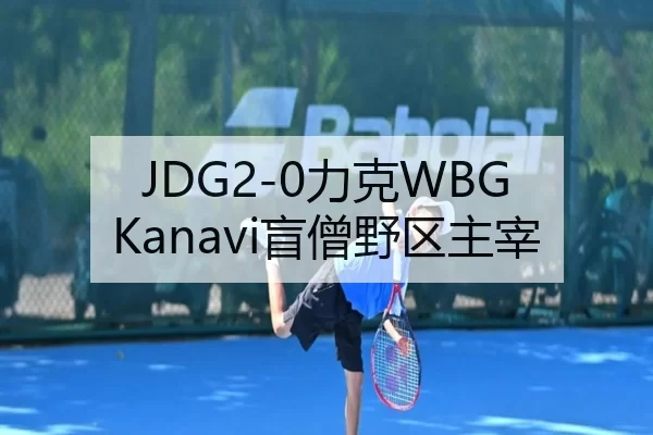 JDG2-0力克WBG Kanavi盲僧野区主宰