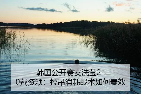 韩国公开赛安洗莹2-0戴资颖：拉吊消耗战术如何奏效